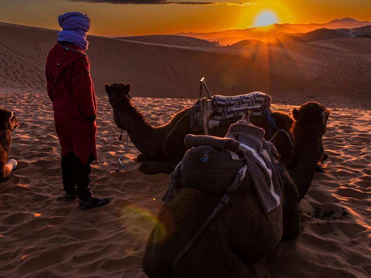Camp Under Stars (Adults Only) Merzouga Extérieur photo