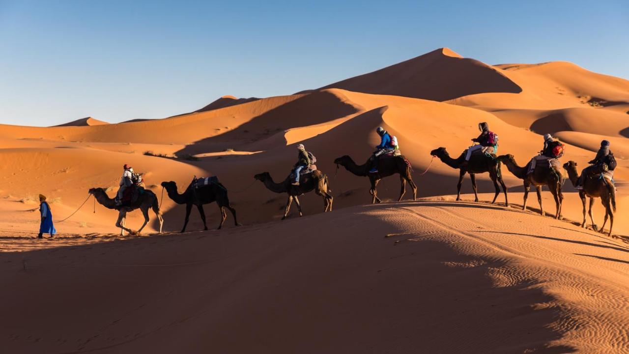 Camp Under Stars (Adults Only) Merzouga Extérieur photo